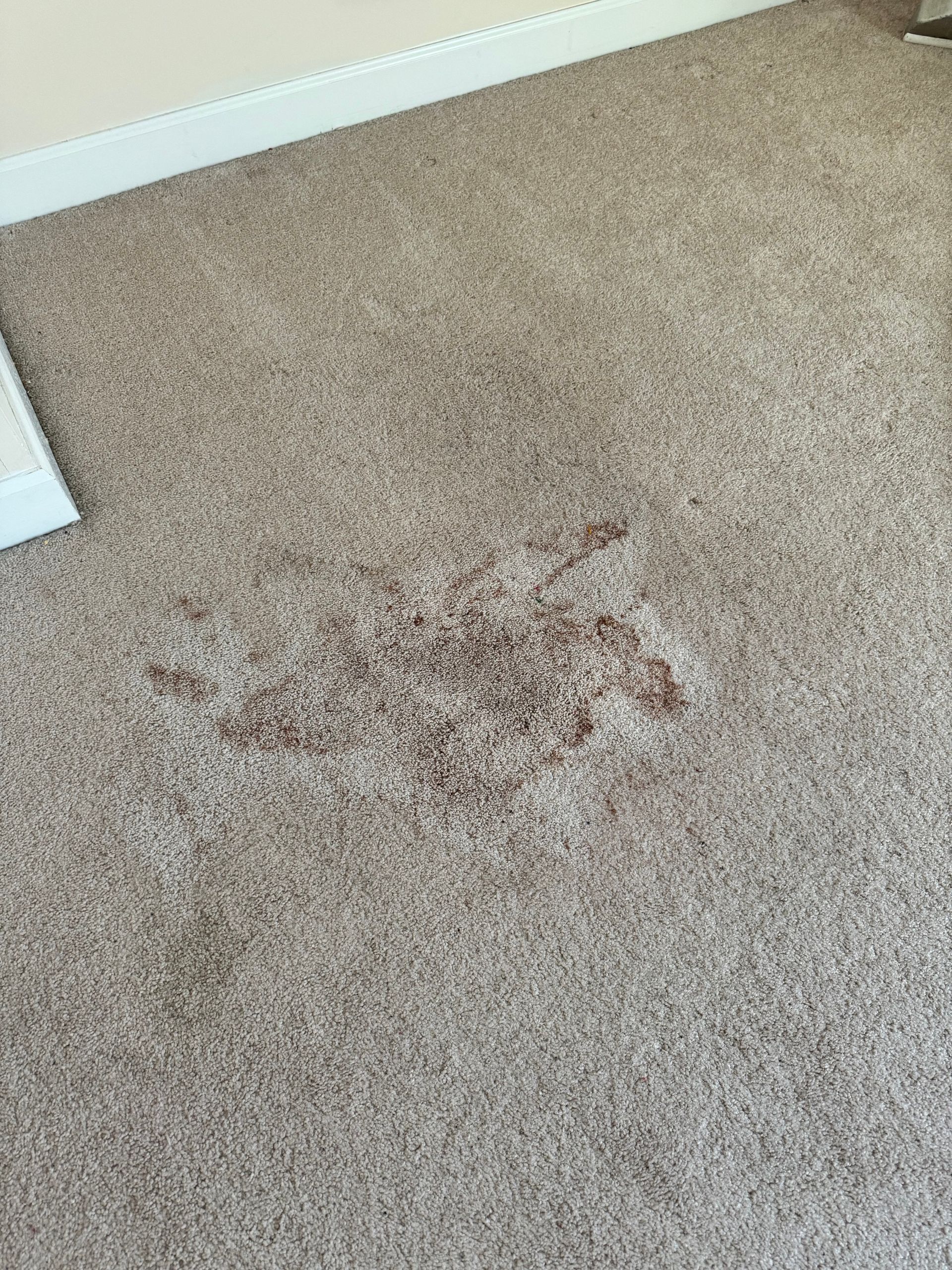 A brown carpet with a stain on it in a room.