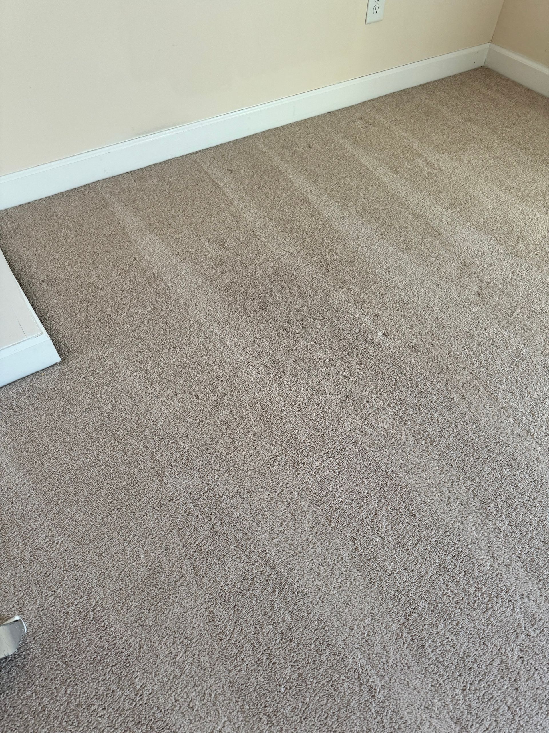 A room with a carpeted floor and white trim.