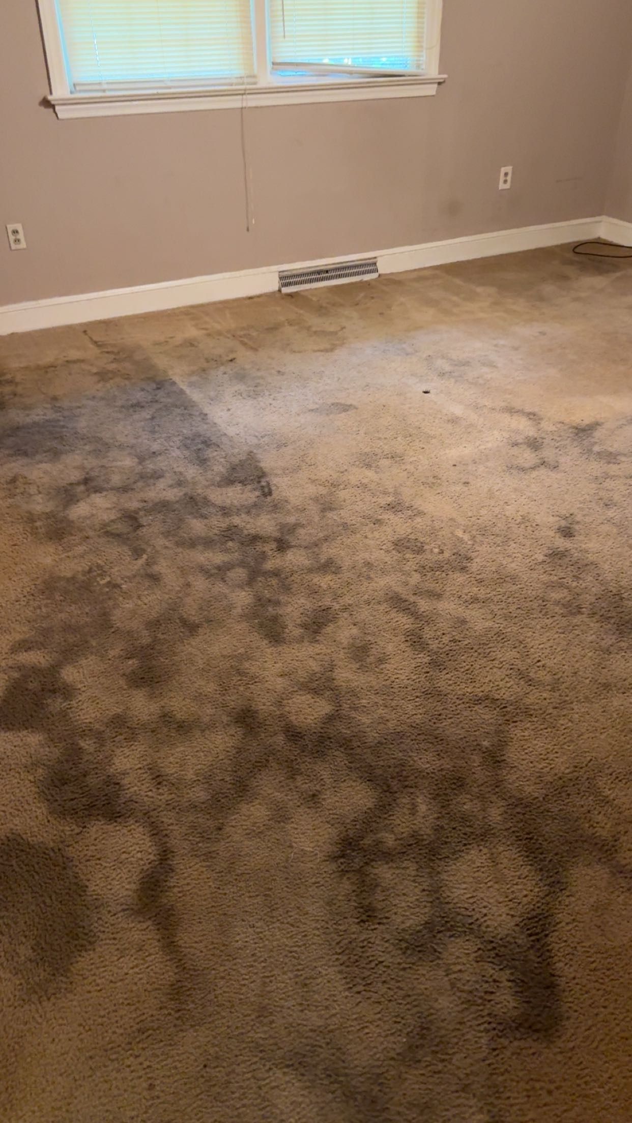 A room with a dirty carpet and a window.