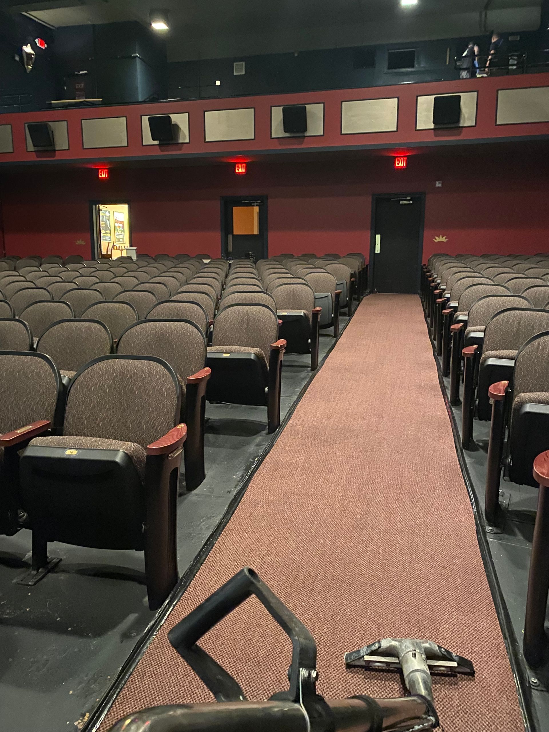 An empty auditorium with rows of seats and a red carpet