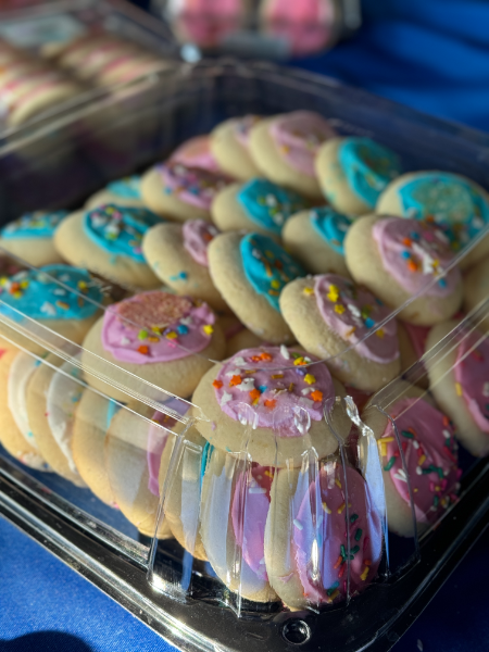 A plastic container filled with cookies with pink and blue frosting and sprinkles.