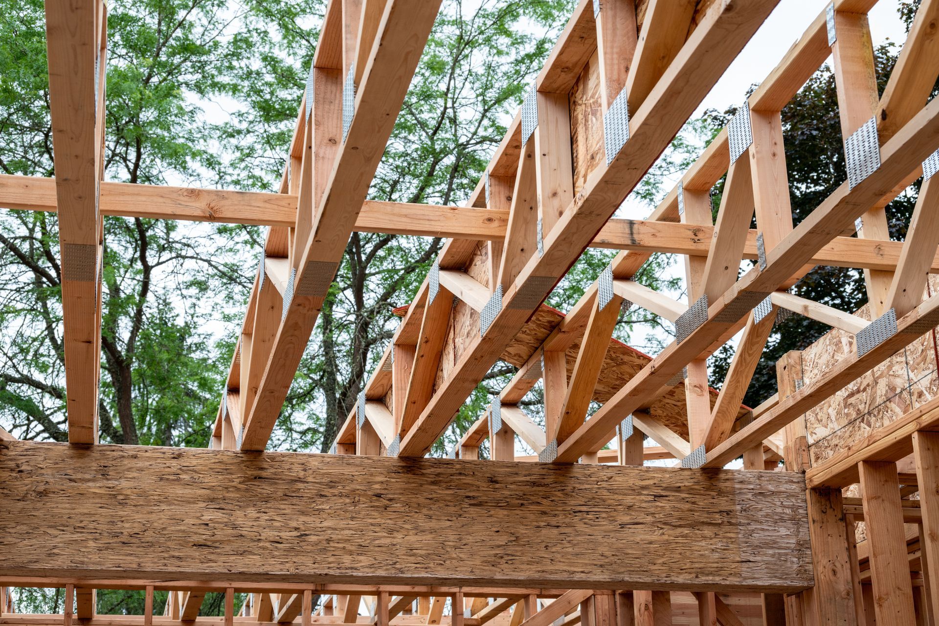 Wooden floor and roof framing under construction, with exposed timber joists and trees visible.