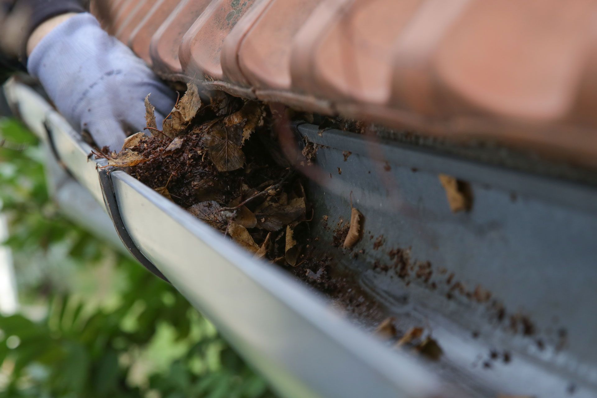Gloved hand cleaning a gutter filled with leaves and debris. Close-up view of the gutter and roof edge.