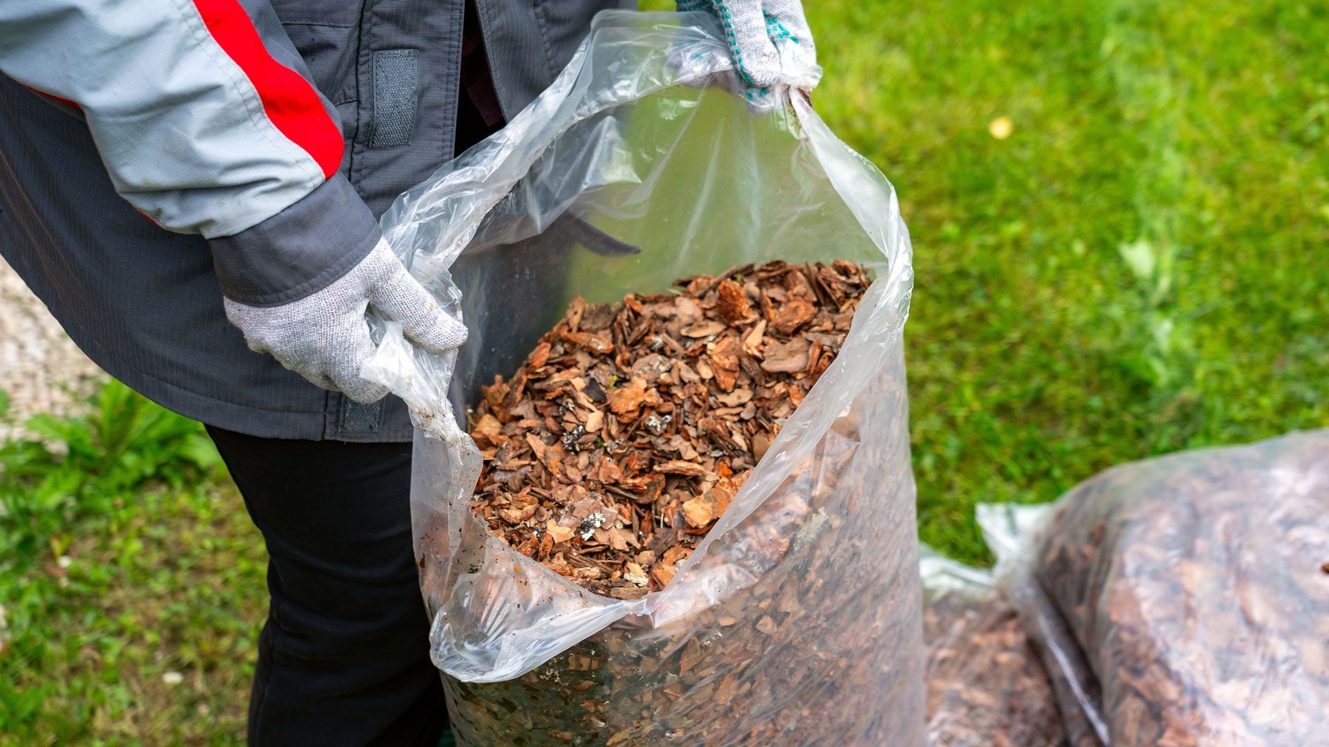 Person holding open clear plastic bag filled with brown mulch.