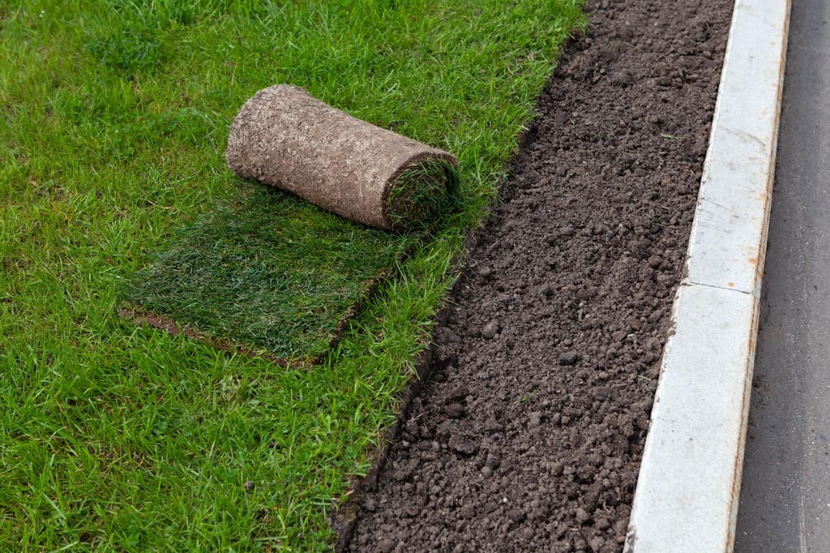 Roll of sod and cut piece next to a patch of grass and dark soil border.