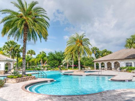 Resort - Style pool with a few palms decorating the Pool Area and a Gazebo