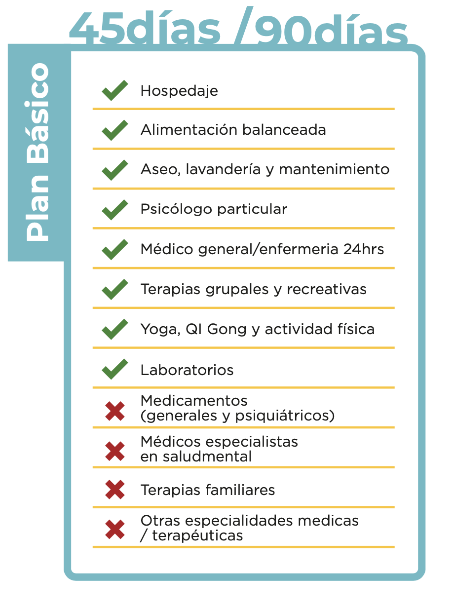 Una imagen de un plan básico en español.
