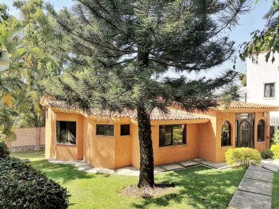 Una casa con un gran árbol al frente.