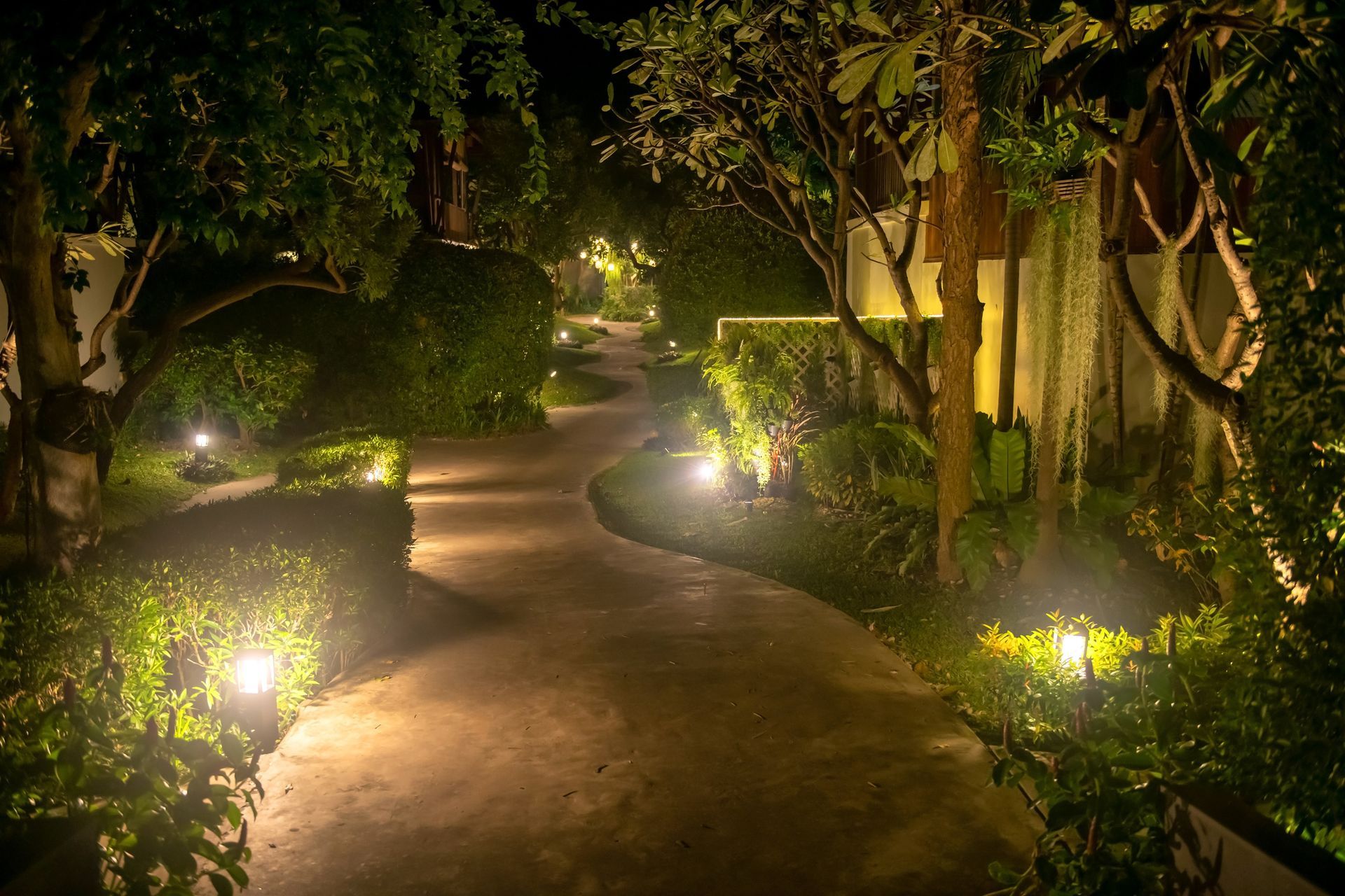 A path surrounded by trees and bushes is lit up at night.
