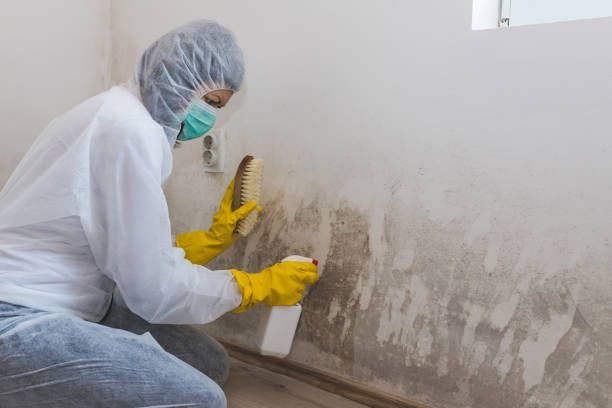 A woman in a white coat and gloves cleans a wall with a spray bottle during mold remediation efforts.
