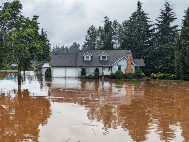 A flooded house in the foreground with a second house and trees visible in the background, illustrating flood damage restoration needs.