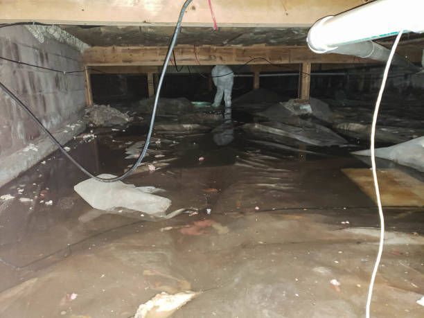 A house partially submerged in water with another house nearby, highlighting the need for flood damage restoration.