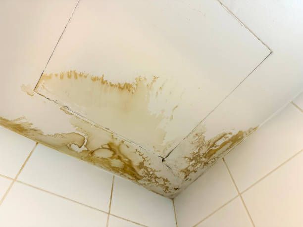A bathroom ceiling showing moldy water stains and damage, indicating potential water leakage and neglect.