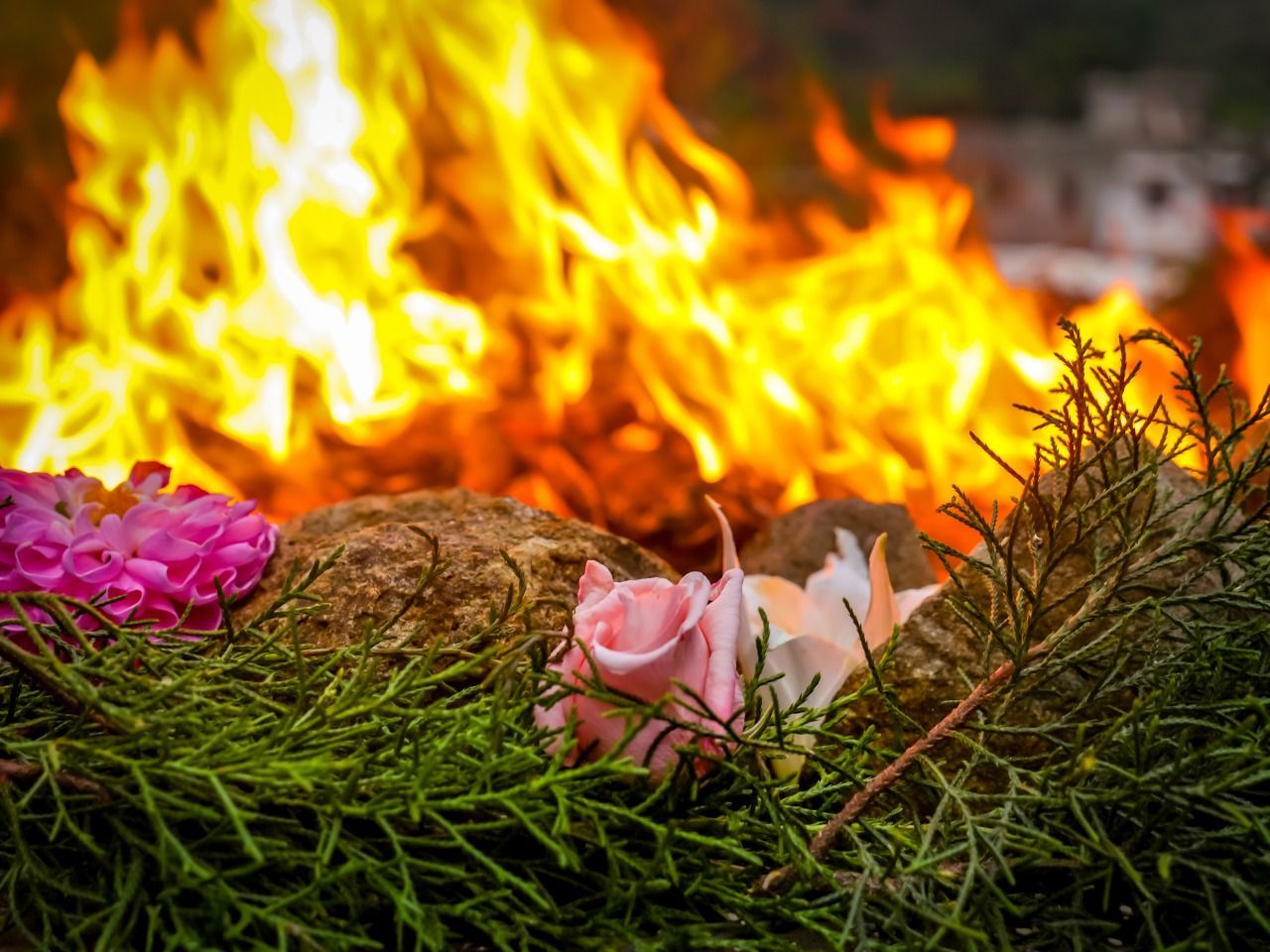 Ein Strauß Blumen steht vor einem Feuer.
