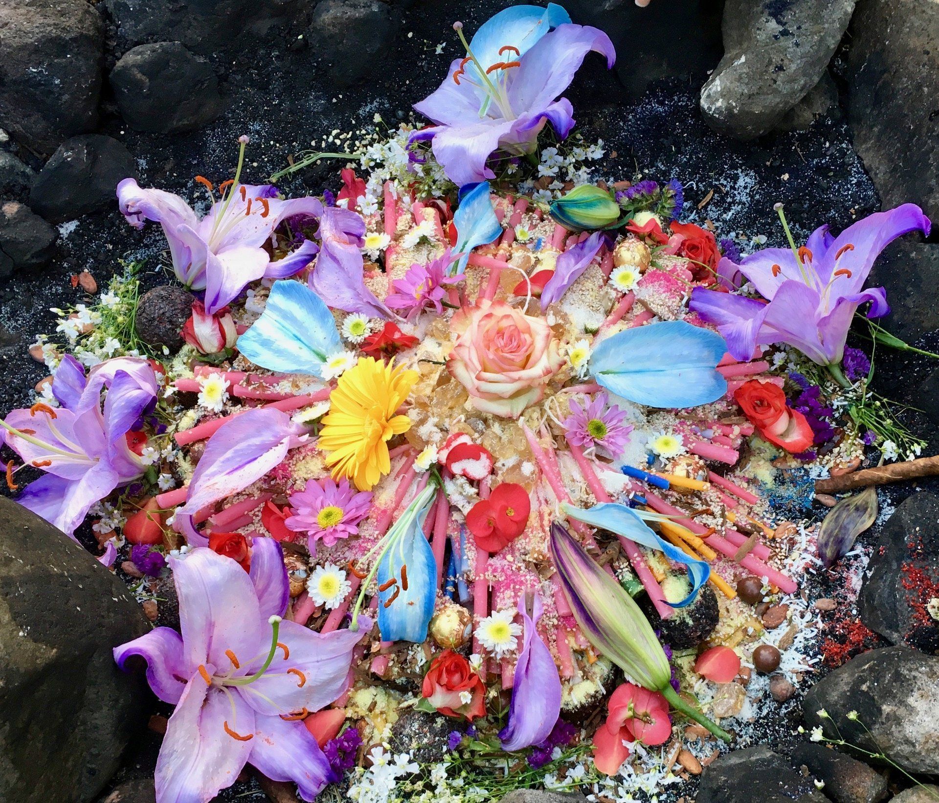 Ein Kreis aus Blumen und Blütenblättern auf einer felsigen Oberfläche