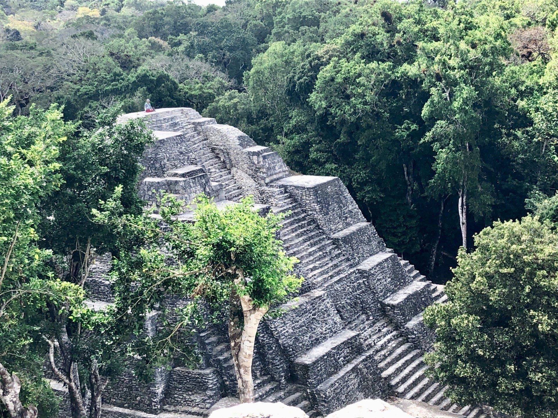 Eine große Steinpyramide, umgeben von Bäumen mitten in einem Wald.