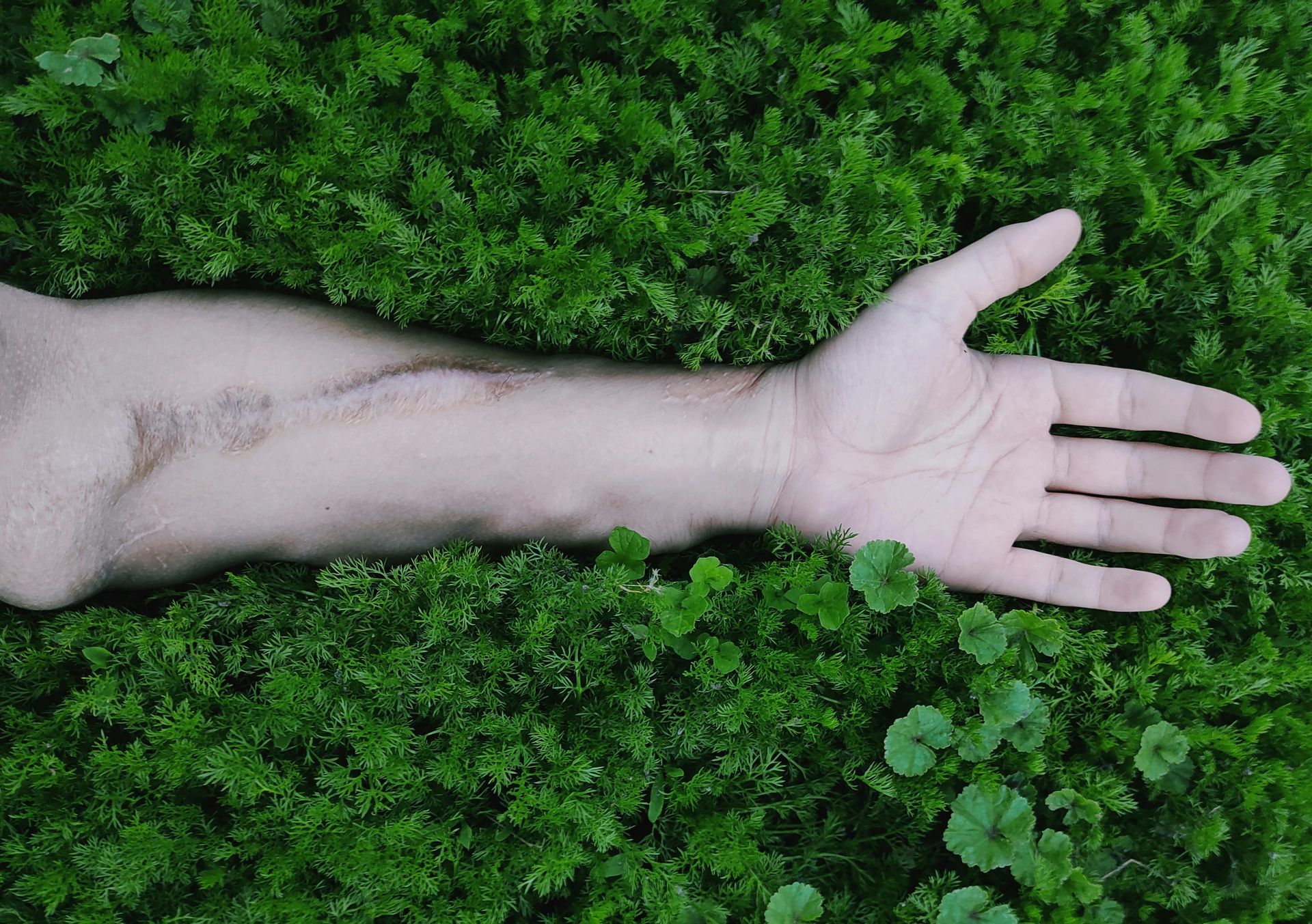 Somatic therapy for.depression grounding practice on earth