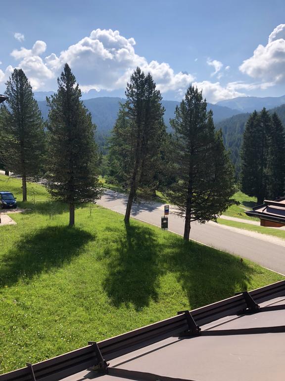 viale di montagna con alberi e prato