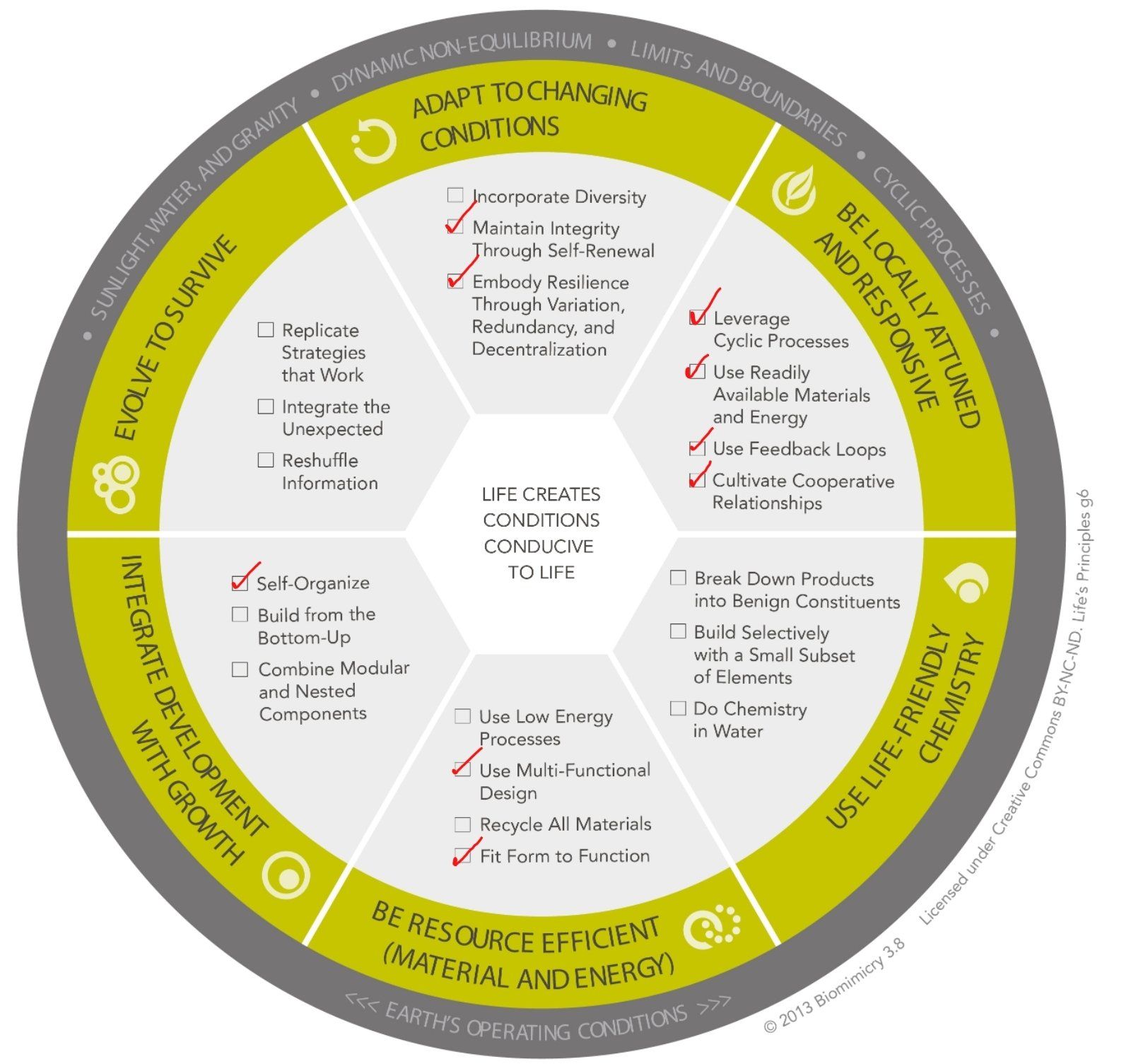 Mdantsane Biomimicry diagram of Life's Principles applied for crime and emergency