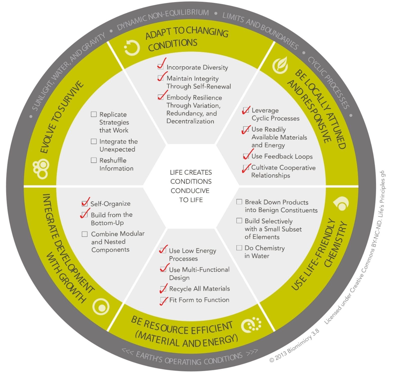 Ocean View Design Thinking Workshop Life's Principles image showing relevant applied principles