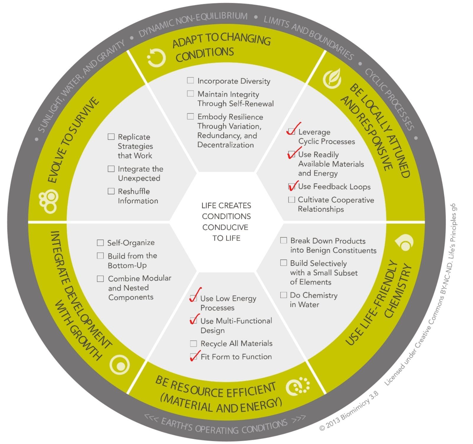 Ocean View Design Thinking Workshop Life's Principles image showing relevant applied principles