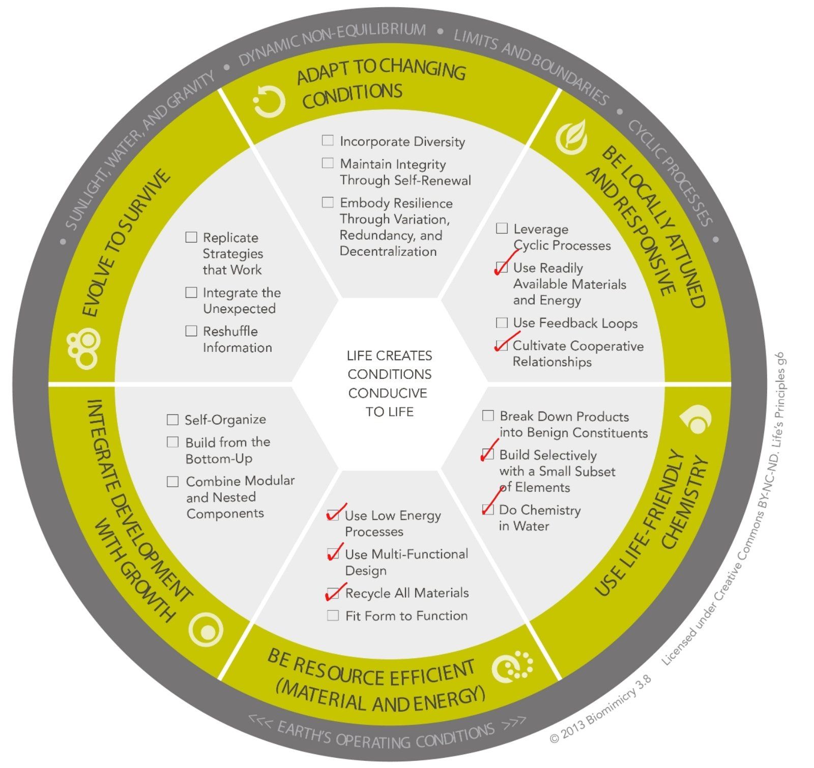 Ocean View Design Thinking Workshop Life's Principles image showing relevant applied principles
