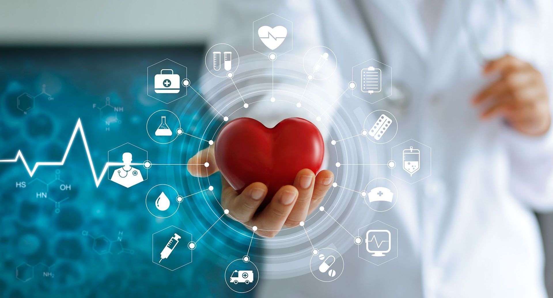 A doctor is holding a red heart in his hands.