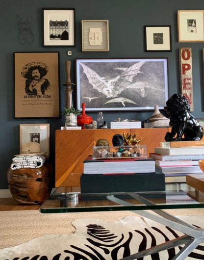 A living room with a dark wall gallery display, a wooden cabinet, a television showing birds, and a zebra-print rug.
