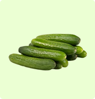 Mini Cucumber