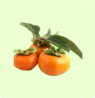 Persimmon Fuyu