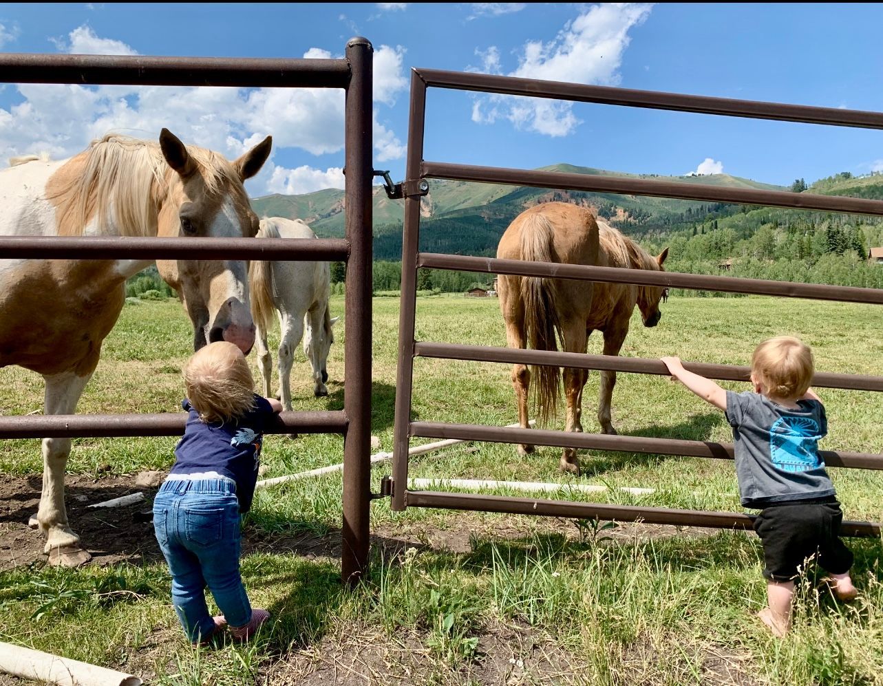 A view of the ocean from a cliff with trees and mountains in the background.