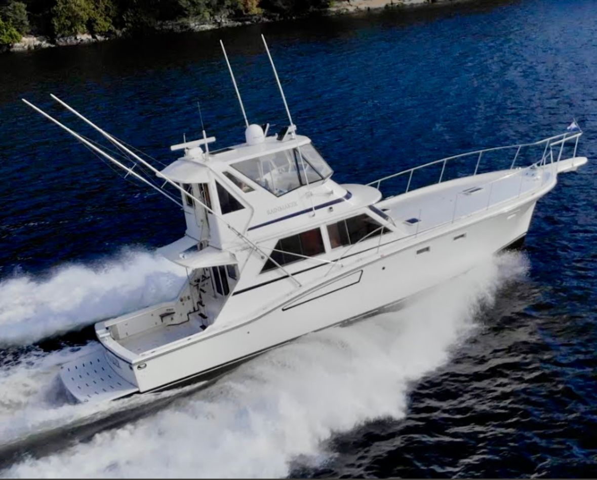 A turtle is laying on the sand on a beach