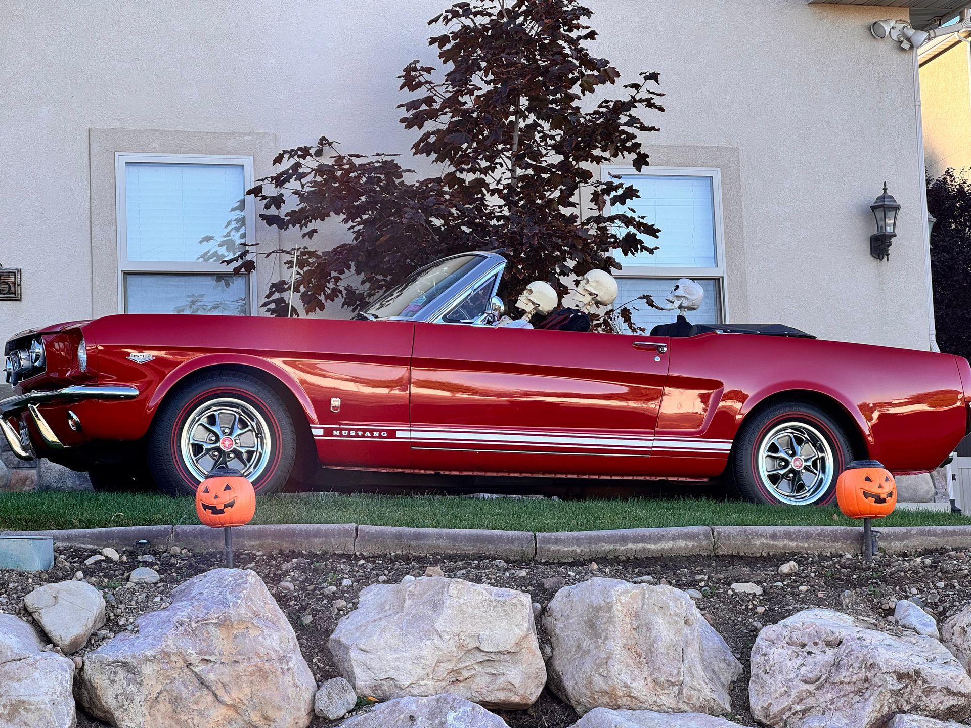 A small dog is laying on a wooden bench with mountains in the background.