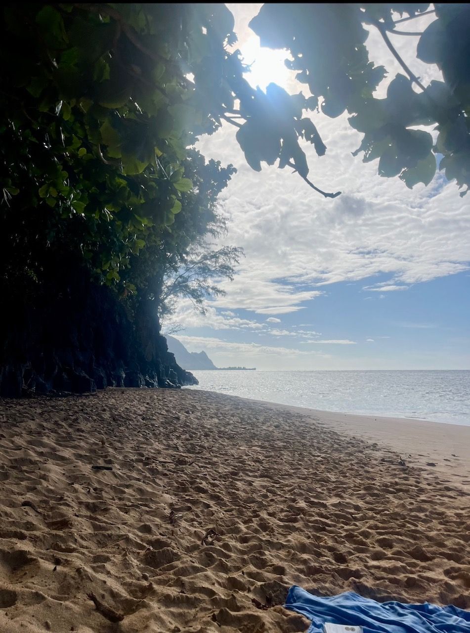 The sun is shining through the trees on the beach