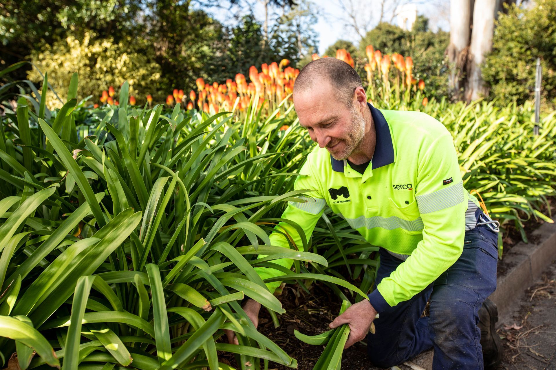 Corporate operations serco careers