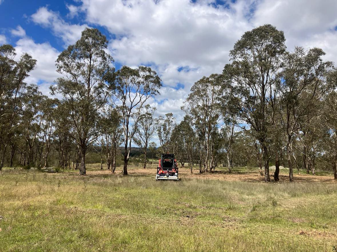 Forestry mulching