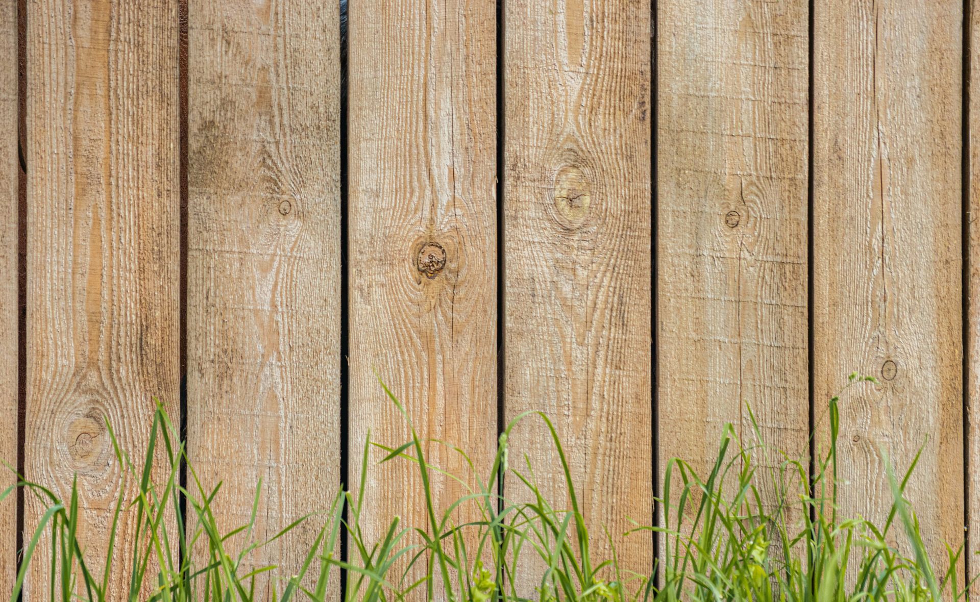 Wooden Fence With Green Grass — Sly Bros in Murwillumbah, NSW
