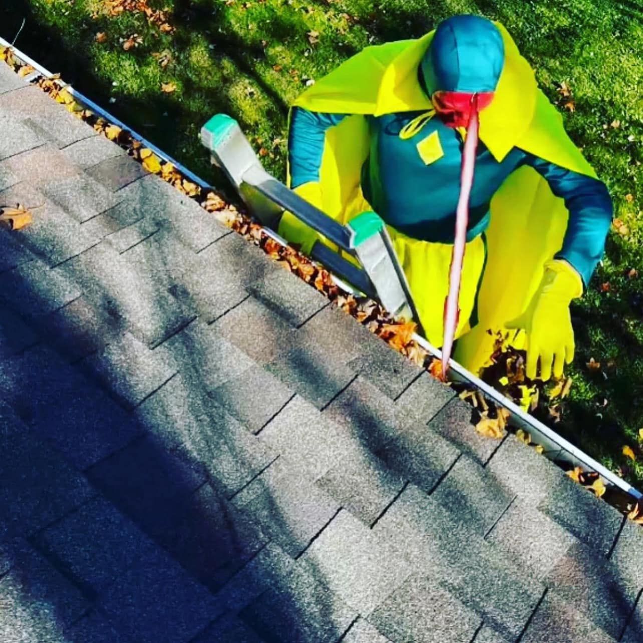 roof cleaning clarksville mi