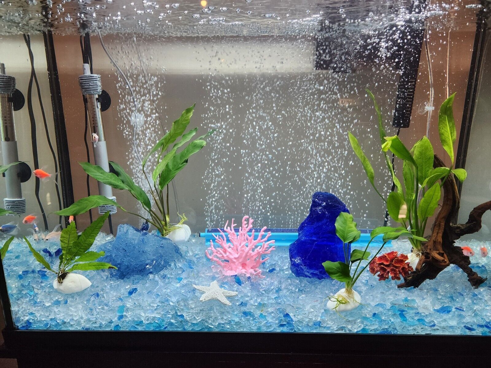 A fish tank filled with plants and a blue rock