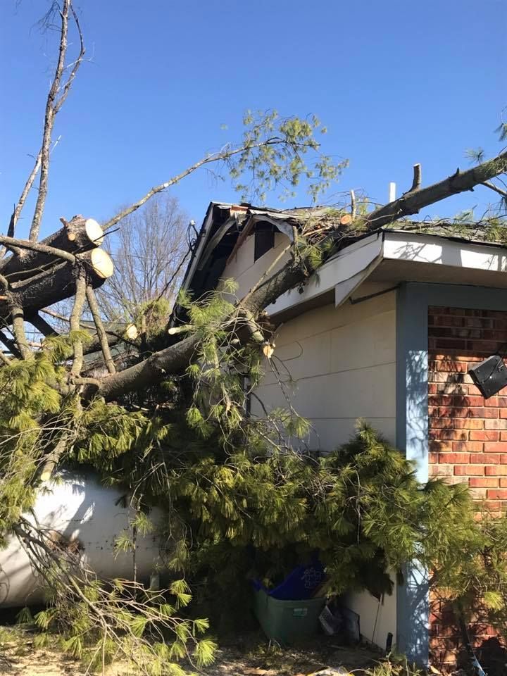 a tree has fallen on the roof of a house .