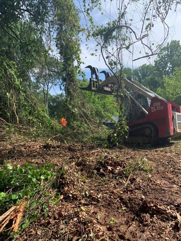 a red skid steer is cutting down trees in a forest .