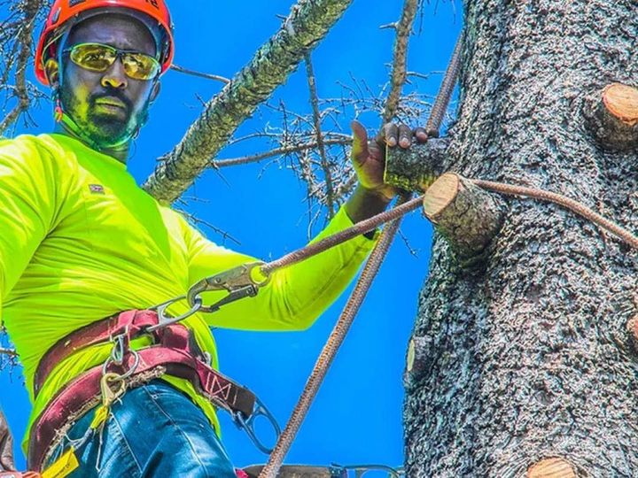 a man wearing a helmet and sunglasses is climbing a tree .