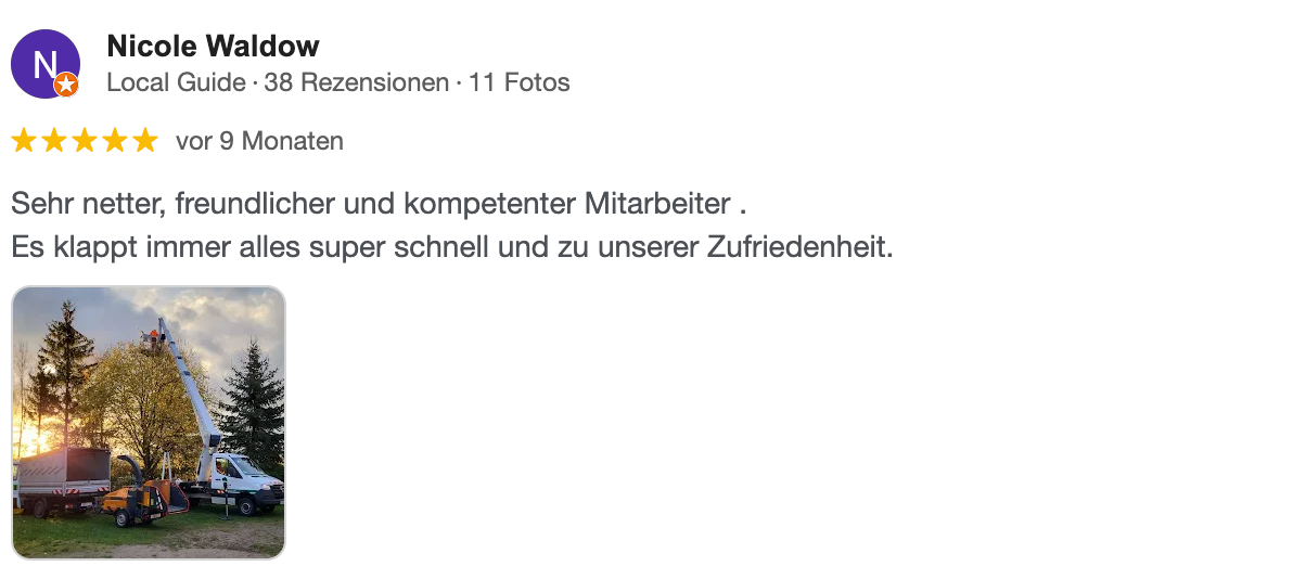 Eine Nutzerrezension mit einem Foto eines Fahrzeugs und Bäumen im Vordergrund.