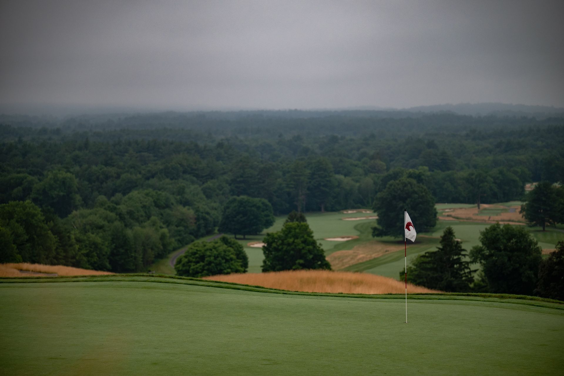 View from behind the green on hole eight