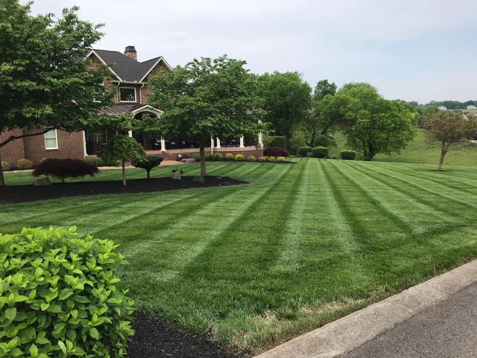 Irrigation — Yard With Flowers in Knoxville, TN