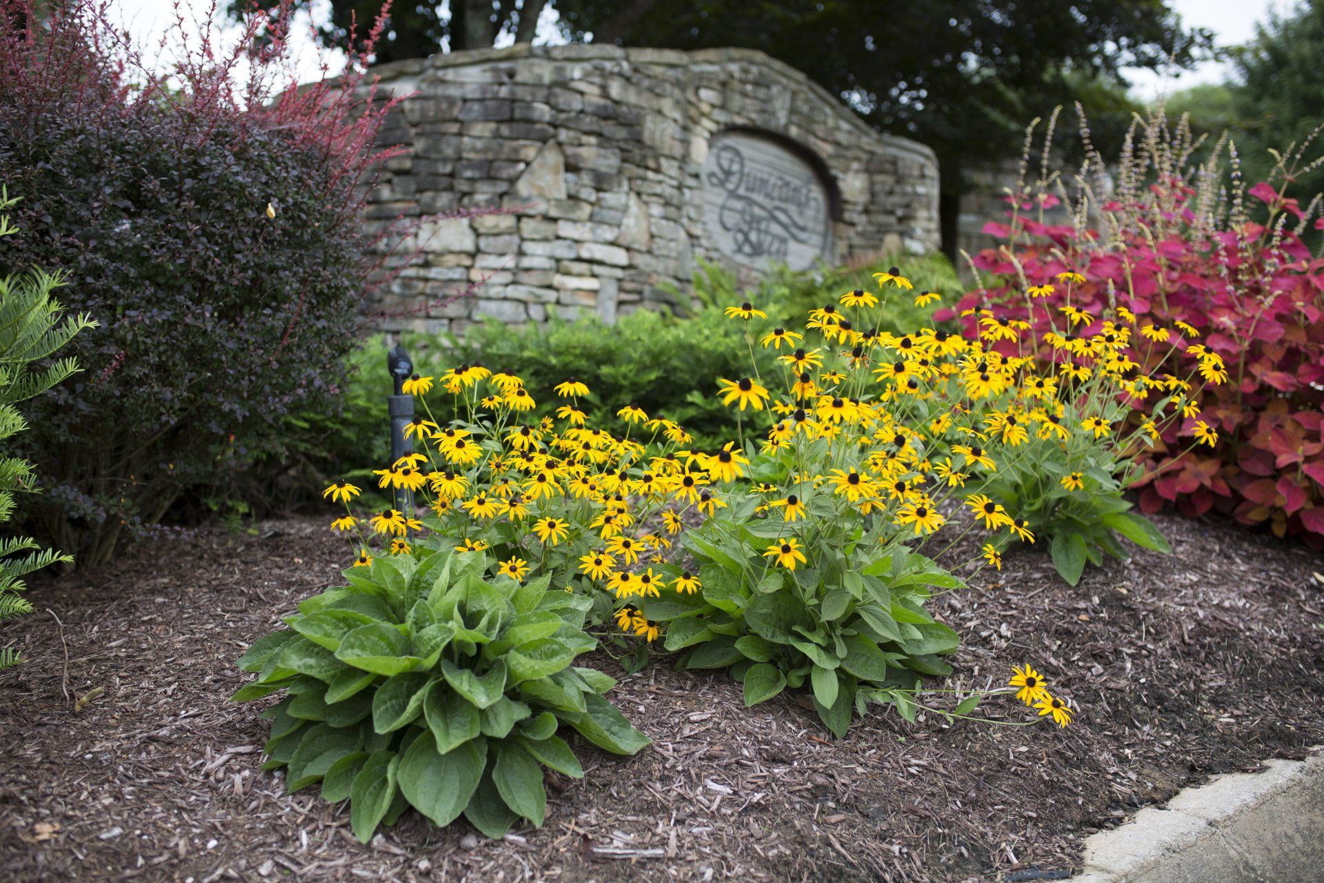 Landscape Design — Different Flowers In The Yard in Knoxville, TN