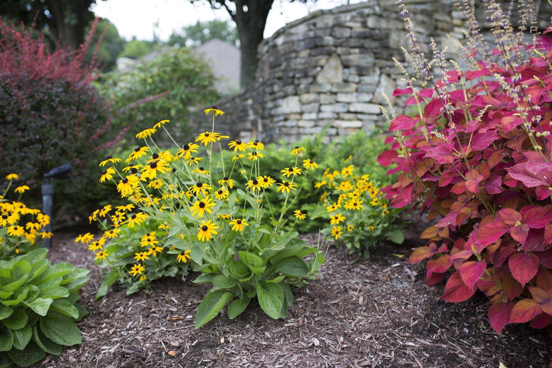 Landscaping Expert — Two Different Beautiful Flowers in Knoxville, TN