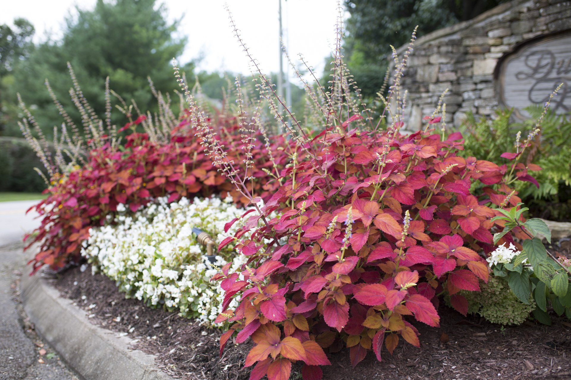 Hardscaping — Front Yard Landscaping Design in Knoxville, TN
