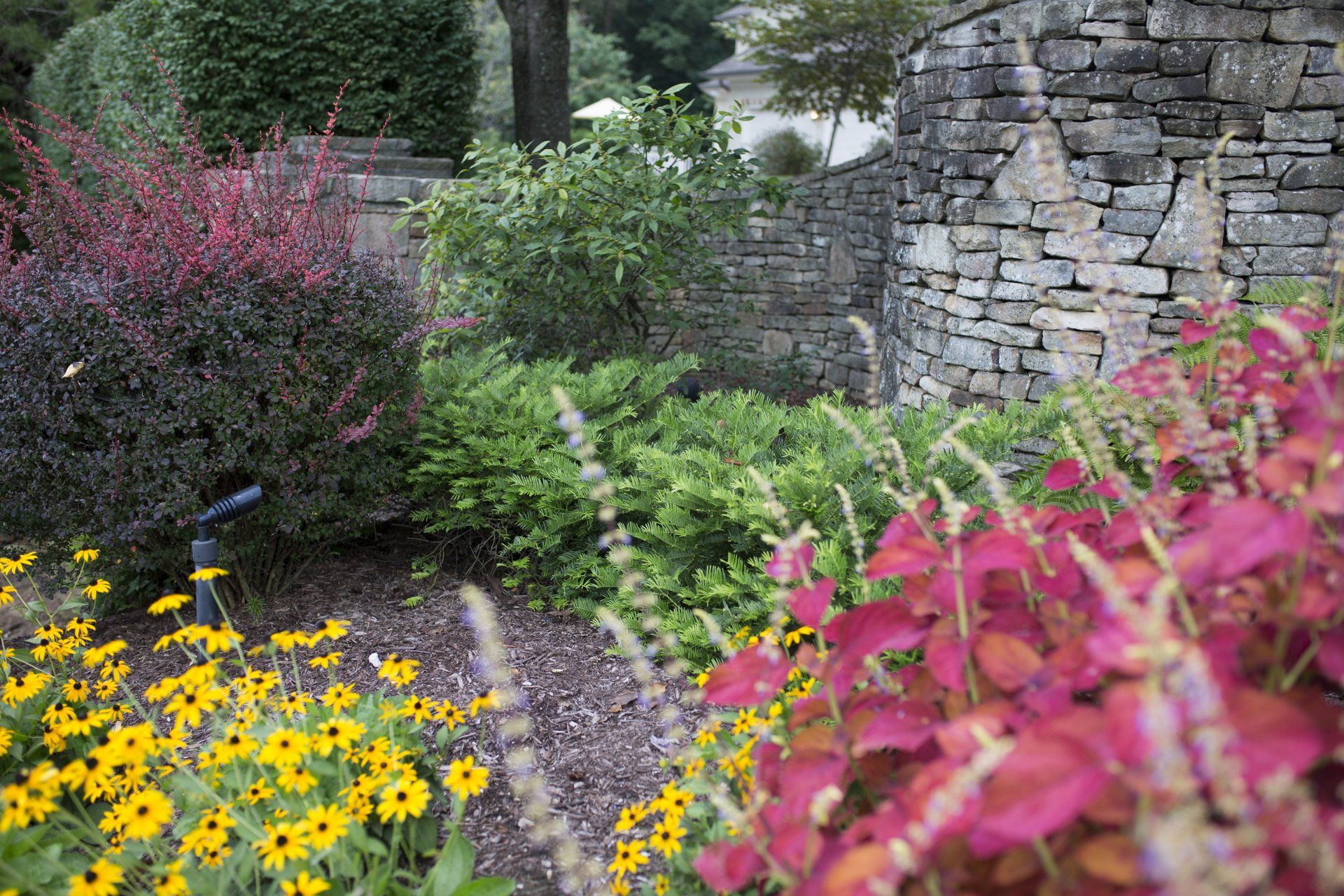 Hardscape Professional — Shrubs With Flowers in Knoxville, TN