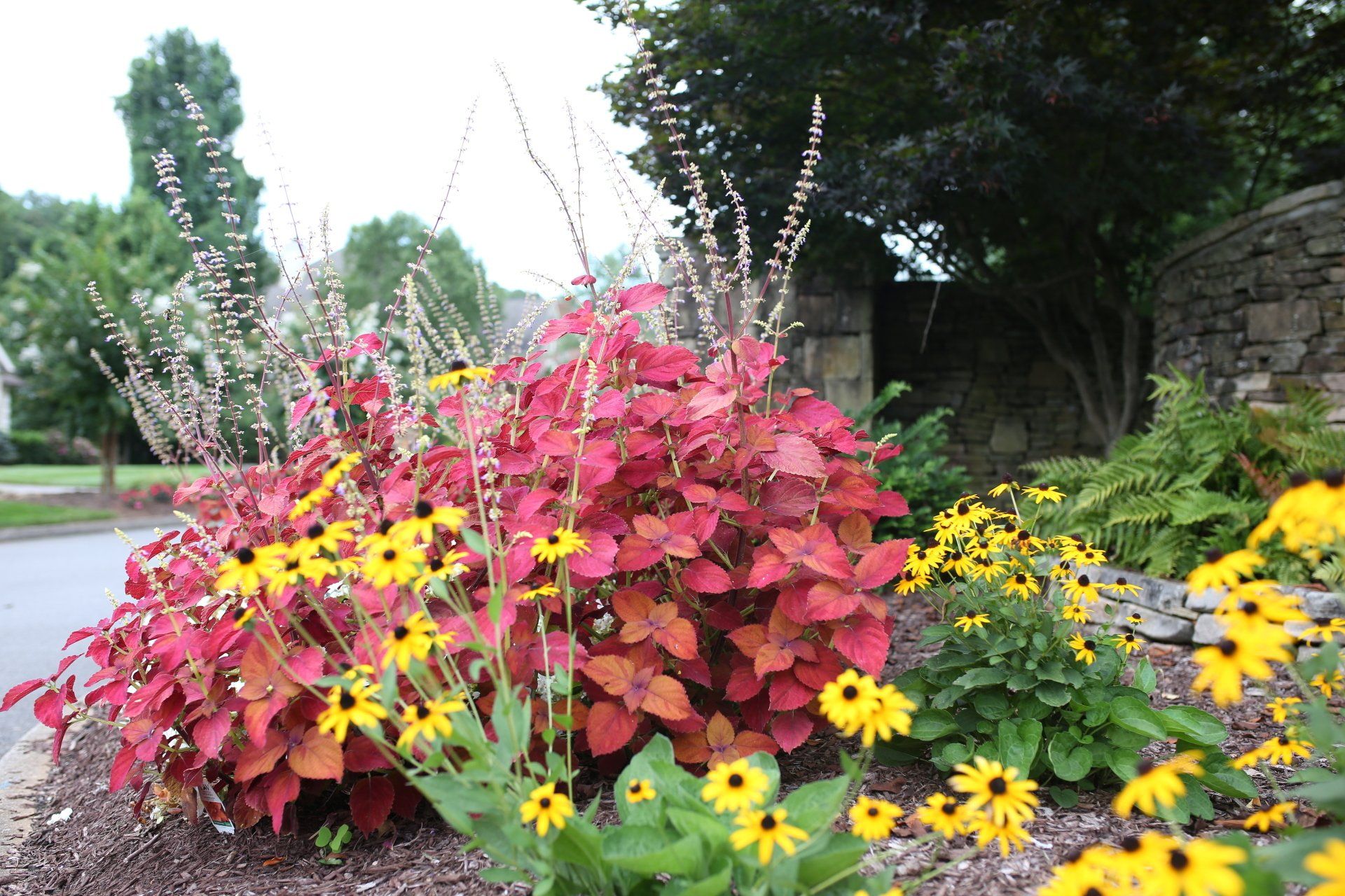 Landscape Professional — Flower Decoration In The Yard in Knoxville, TN